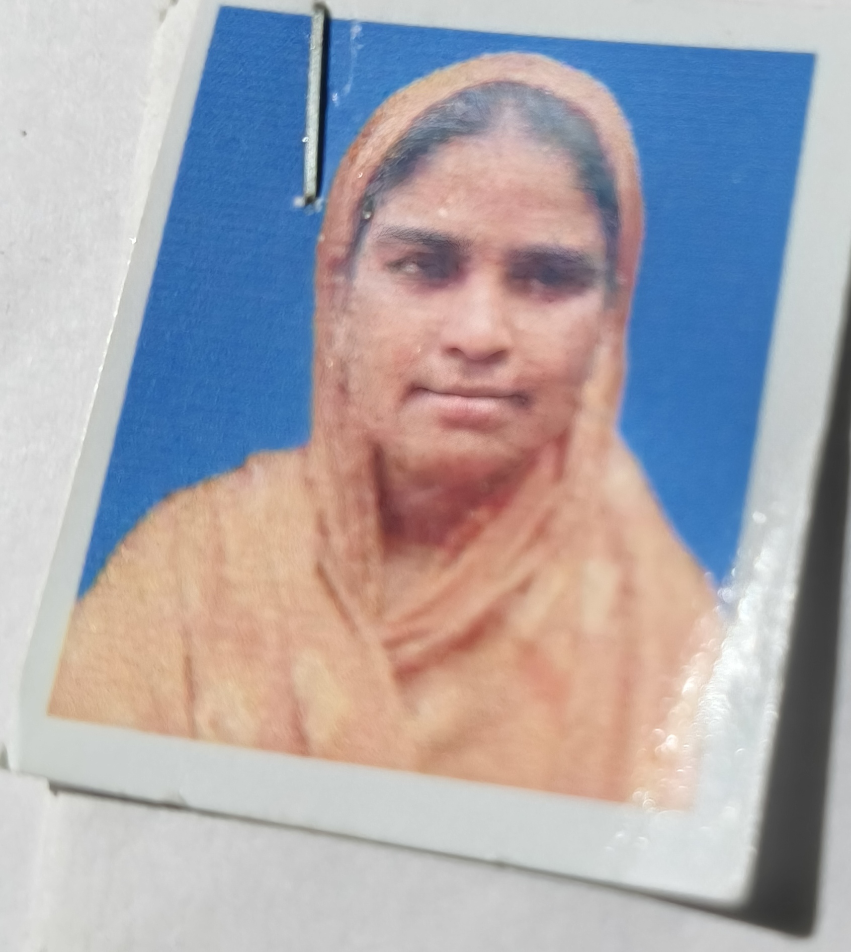 Nurnahar begum